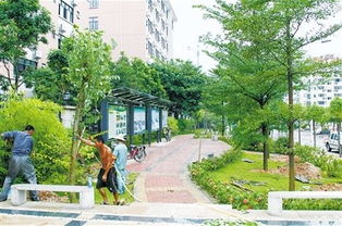 定鼎園林 專業園林景觀工程施工一站式解決方案